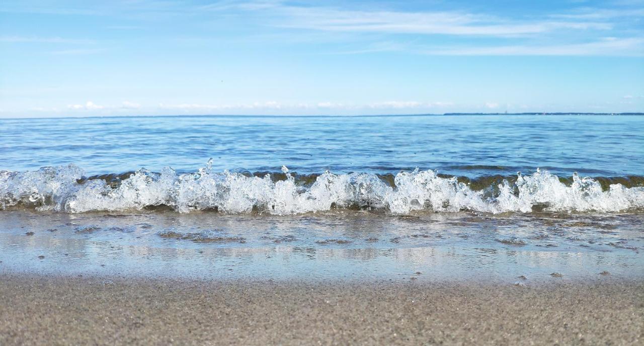 Zum Wohlfuhlen Fur 4 Erwachsene +1 Kind, Schwimmbad Vor Der Tur Tiere Erlaubt Lägenhet Sierksdorf Exteriör bild