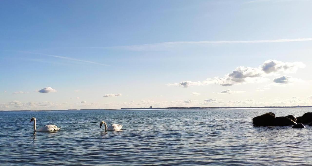 Zum Wohlfuhlen Fur 4 Erwachsene +1 Kind, Schwimmbad Vor Der Tur Tiere Erlaubt Lägenhet Sierksdorf Exteriör bild