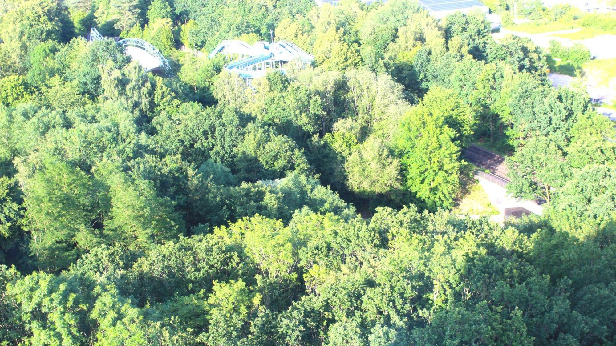 Zum Wohlfuhlen Fur 4 Erwachsene +1 Kind, Schwimmbad Vor Der Tur Tiere Erlaubt Lägenhet Sierksdorf Exteriör bild